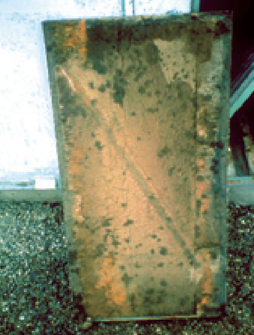 A mold-damaged family heirloom