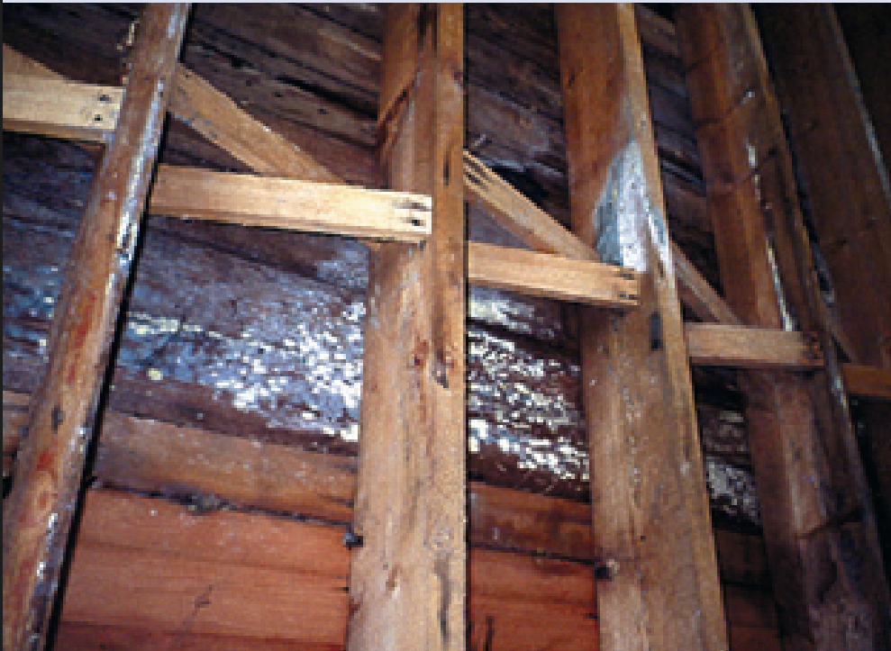 Structural framing exposed by remediation work